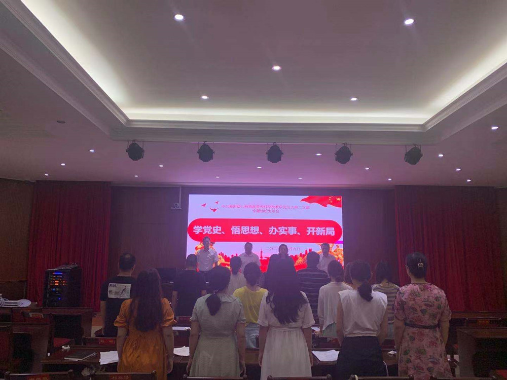 衡陽(yáng)幼高專各黨支部相繼召開黨史學(xué)習(xí)教育專題組織生活會(huì)
